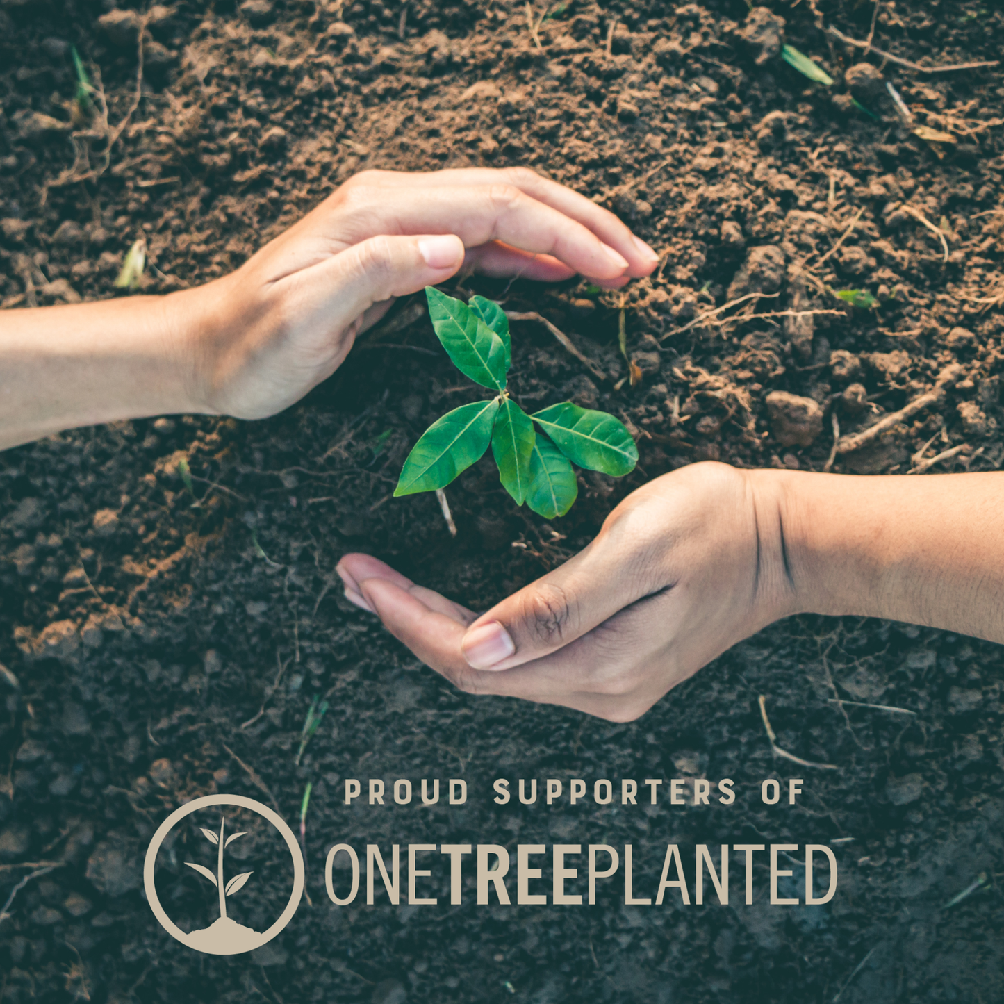 One tree planted, Eco friendly food storage, sustainable food containers, Green kitchen, businesses that give back, non toxic, plastic free, plastic-free, recyclable, moonmoon, moon moon