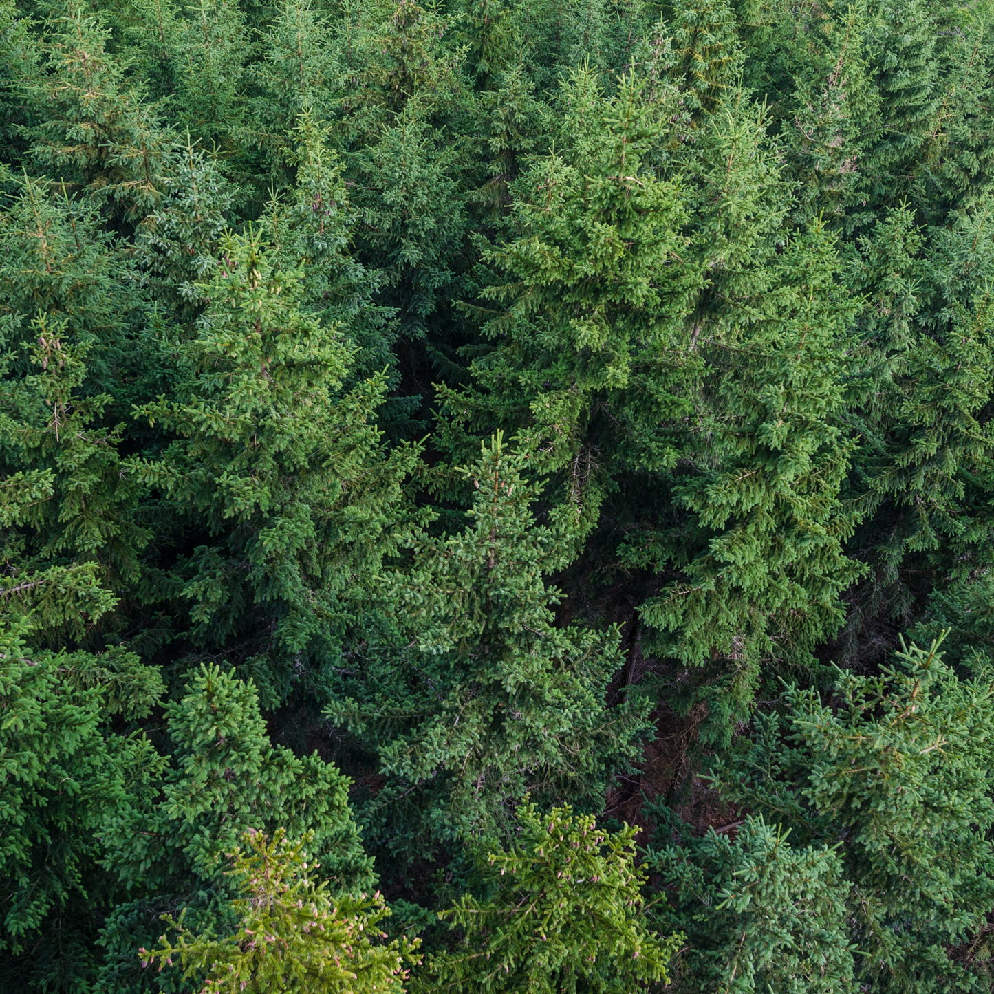 Eco friendly food storage, sustainable food containers, Green kitchen, businesses that give back, non toxic, plastic free, plastic-free, recyclable, moonmoon, moon moon, stainless steel lunch box, silicone food bags