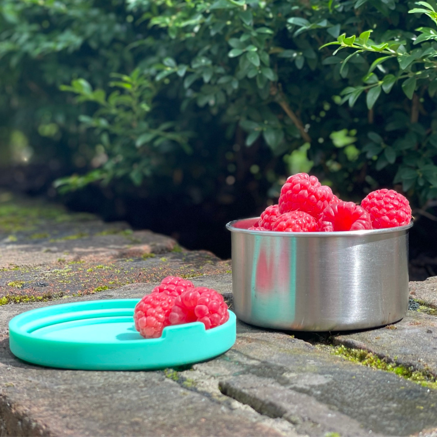 metal lunchbox, metal snack pots, stainless steel containers, moon moon lunxh box, metal bento box moonmoon
