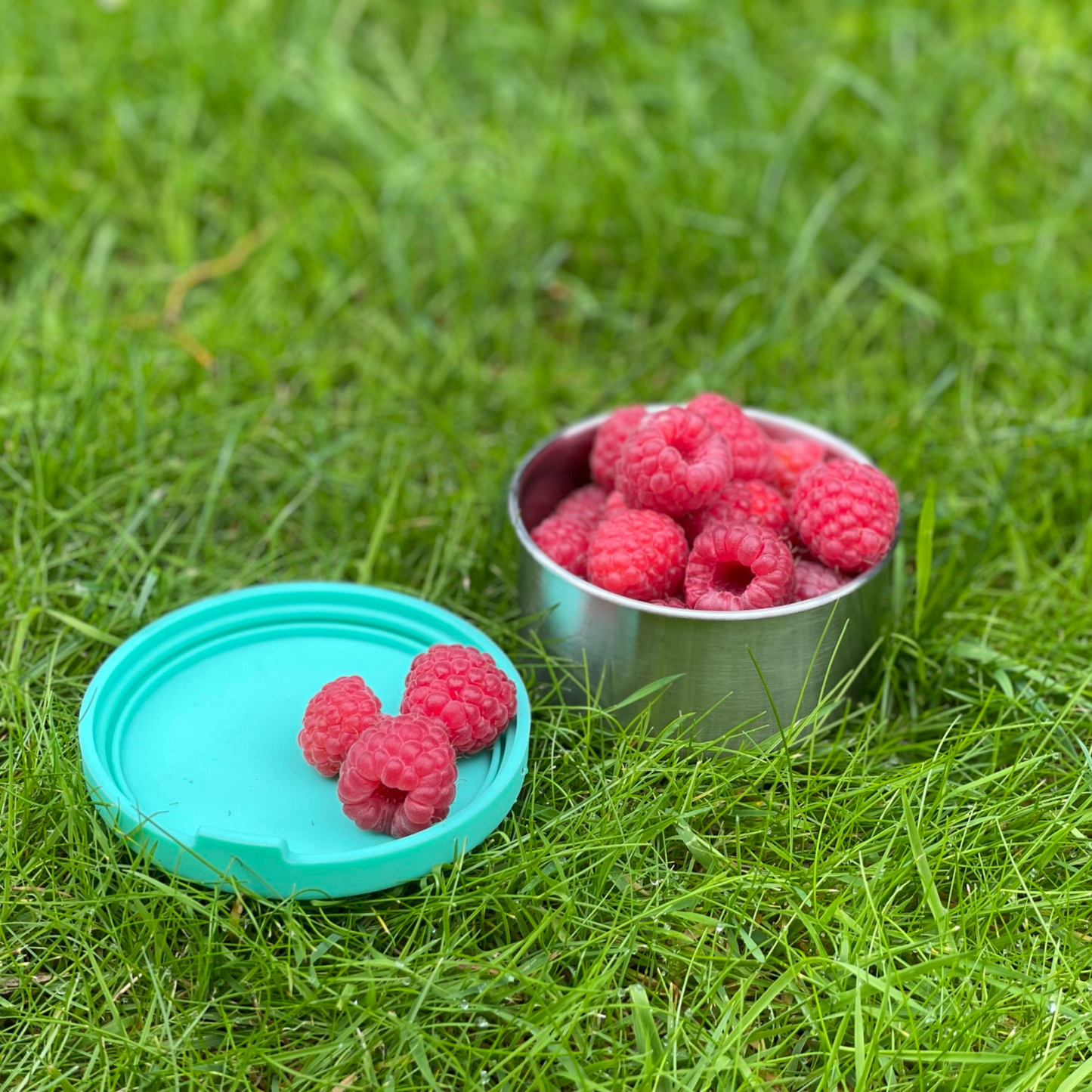 moonmoon metal snack pot, moon moon stainless steel food containers with lids, eco friendly food storage containers, stainless steel snack pot, steel food container