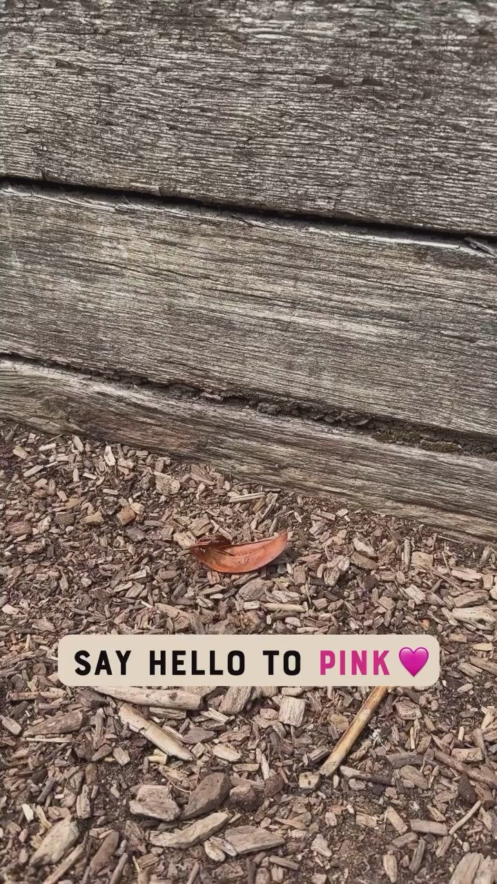 moonmoon silicone bag, silicone storage bags, pink silicone bag, reusable silicon bag, non plastic freezer containers uk, non-toxic food storage bags, best reusable freezer bags uk

