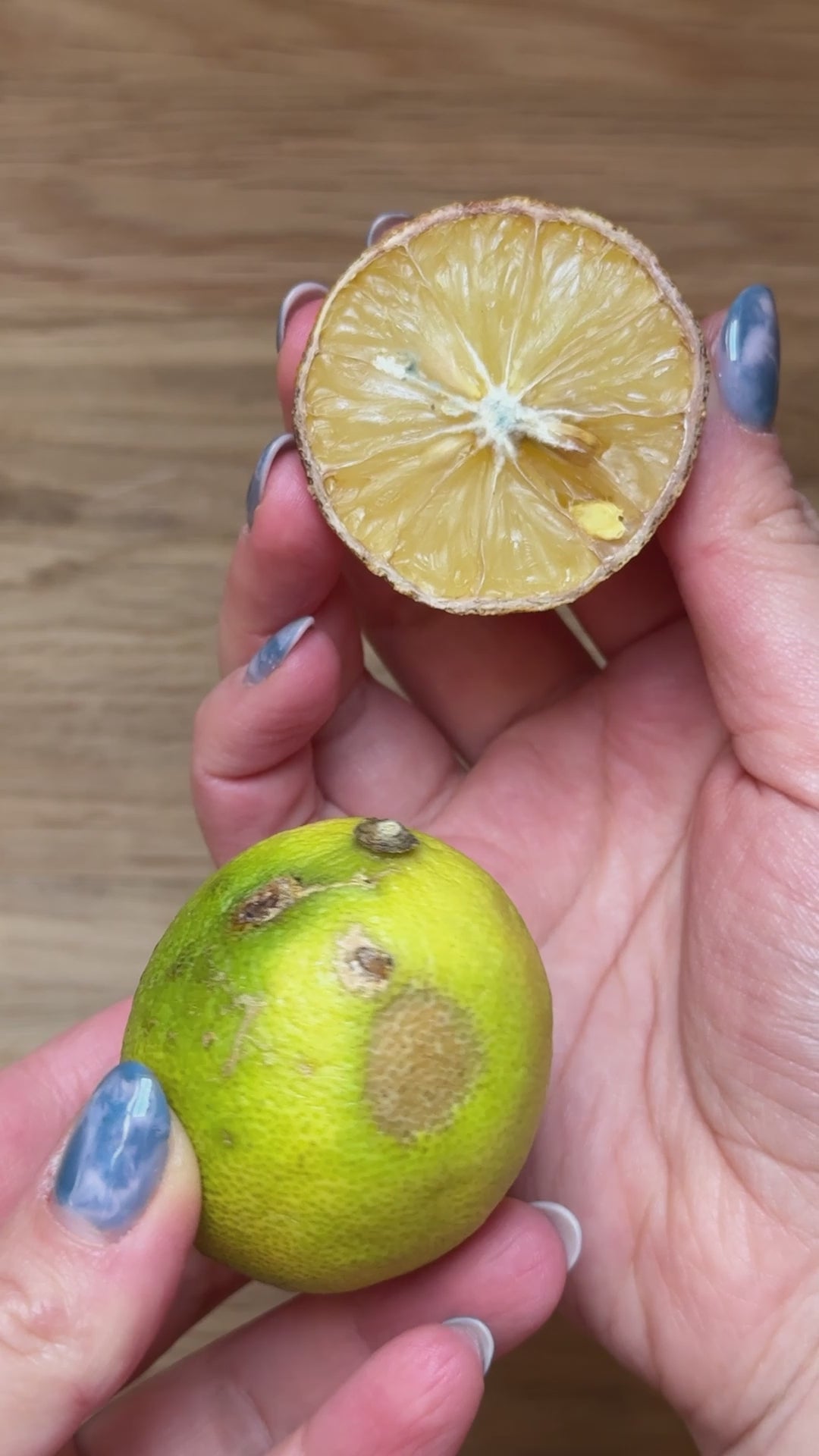 reusable freezer bags, silicone food bags, plastic free food storage, silicone bags, silicone freezer bags uk, moonmoon, stasher bags uk, stasher snack bags, stasher sandwich bags, stashers, oxo bags, stasher snack, joie reusable bags, silicone food storage bags, moon moon reusable silicone freezer bags uk, eco freezer bags, non plastic food containers
